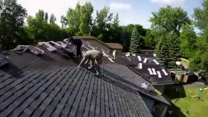 Morrissey Construction - Roofing Contractor Picture 7