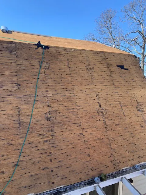 Champion Exteriors Picture 6