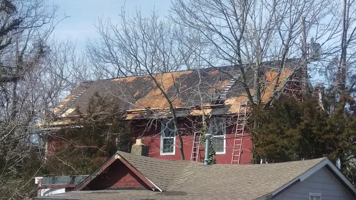 Rare breed construction Picture 3