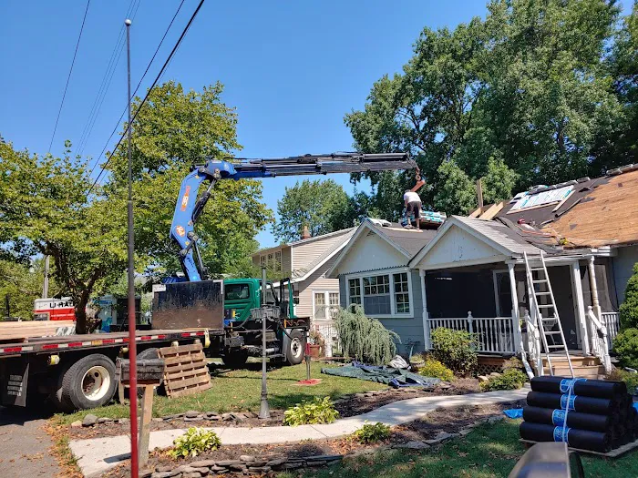 Rare breed construction Picture 8