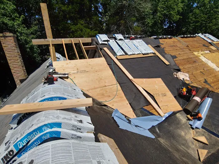 Rare breed construction Picture 10