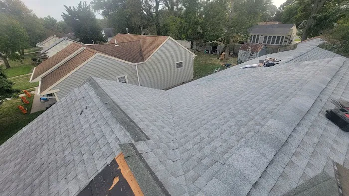 Rare breed construction Picture 6