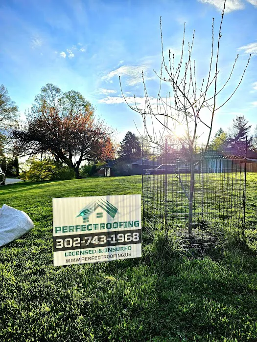 Perfect Roofing, Inc. Picture 9