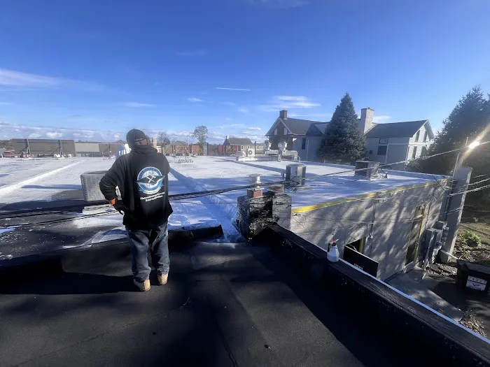 Flat Roof Company Picture 6