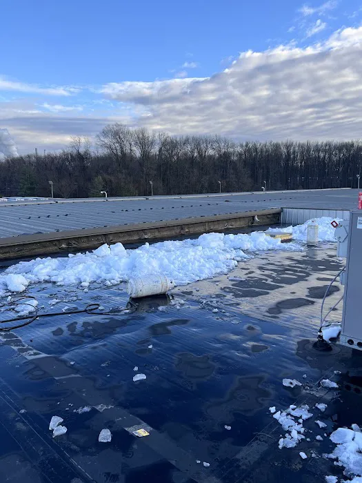 Flat Roof Company Picture 1