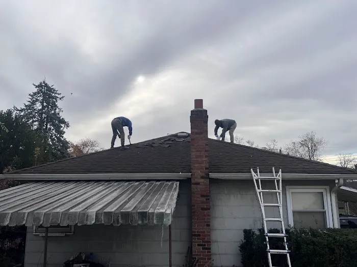 Flat Roof Company Picture 8