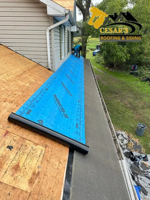 Cesar's roofing Picture 1