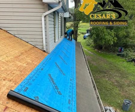 Cesar's roofing