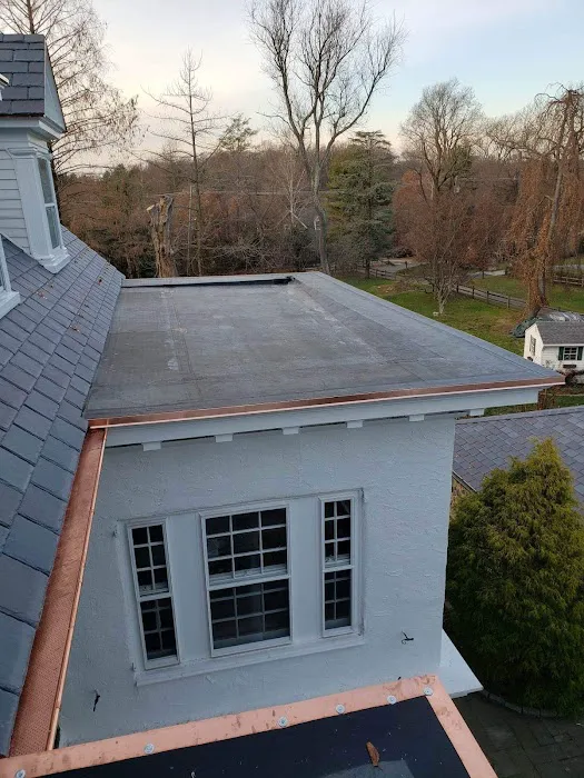 Cesar's roofing Picture 7