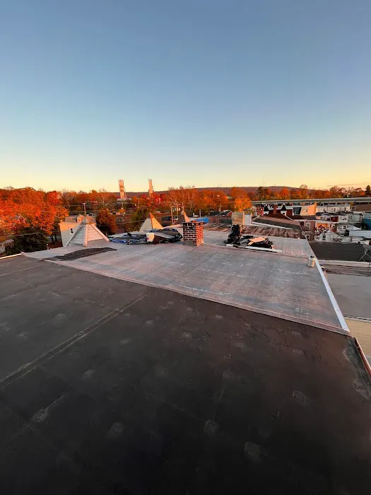 Unity Roofing Systems Picture 1