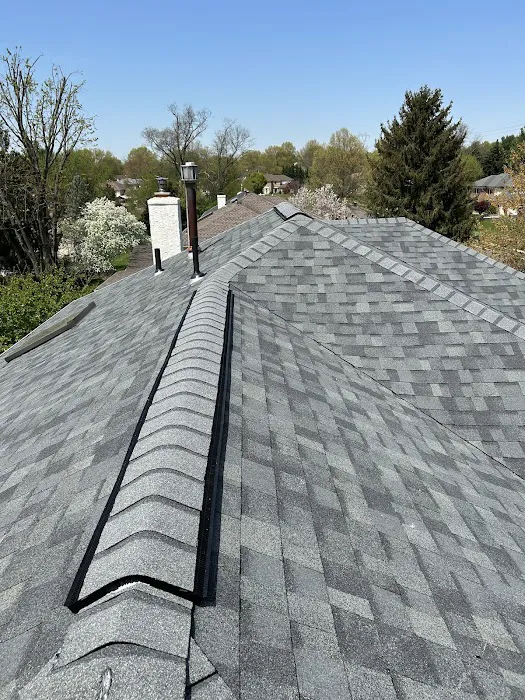 Eagle Exteriors Picture 10