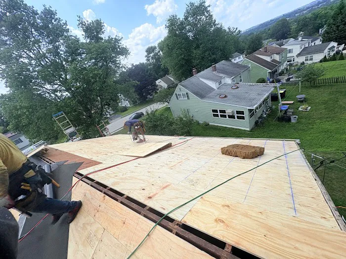 Eagle Exteriors Picture 7