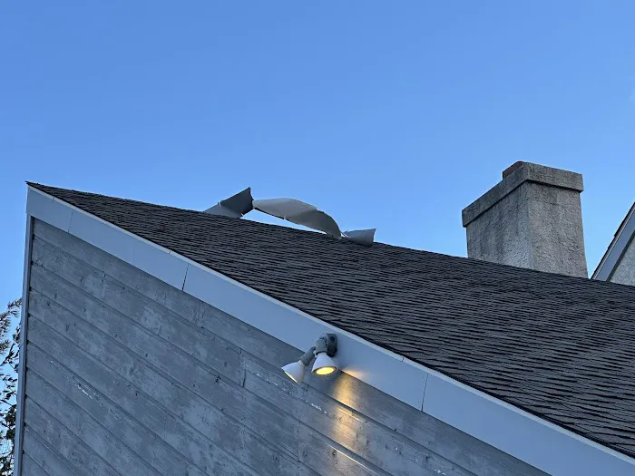 Springer Brothers Picture 3