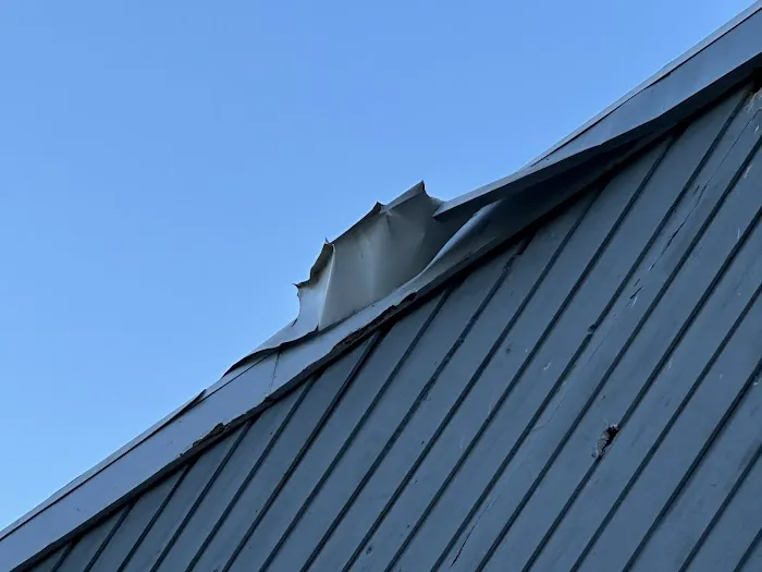 Springer Brothers Picture 2