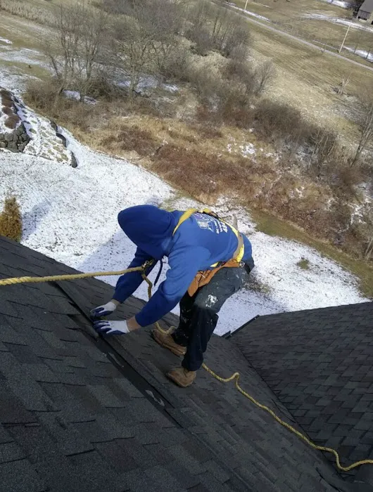 Melava llc Picture 4