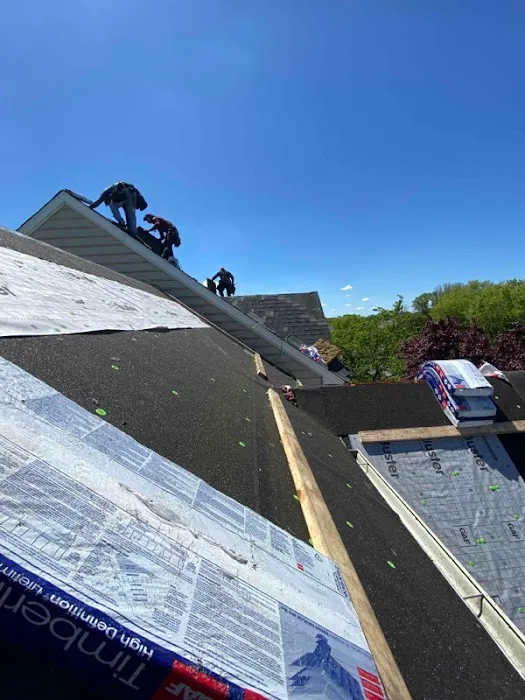 Pro Edge Roofing Picture 1