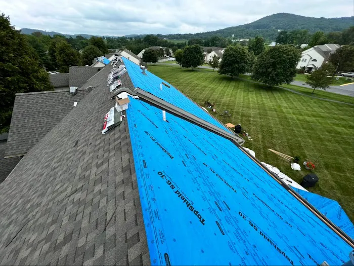 Armored Exteriors Roofing Picture 7