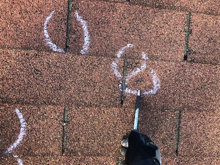 Armored Exteriors Roofing Picture 2