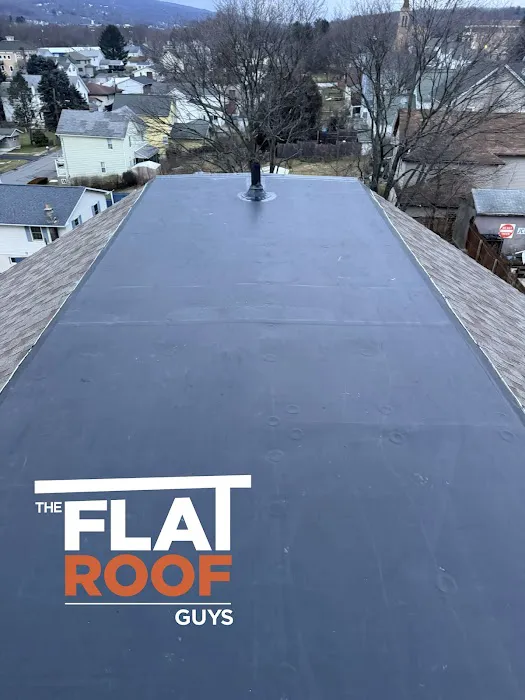 The Flat Roof Guys Picture 3