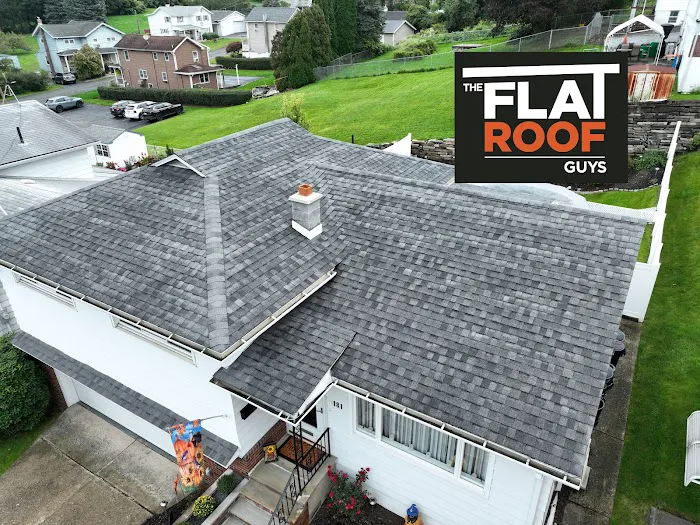 The Flat Roof Guys Picture 6