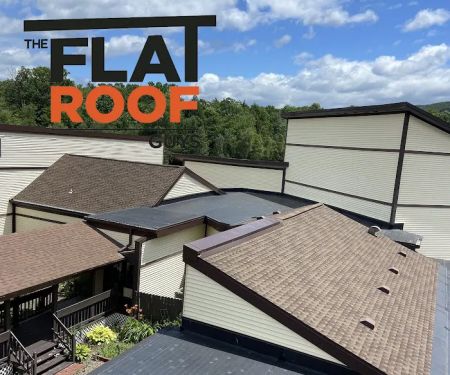 The Flat Roof Guys