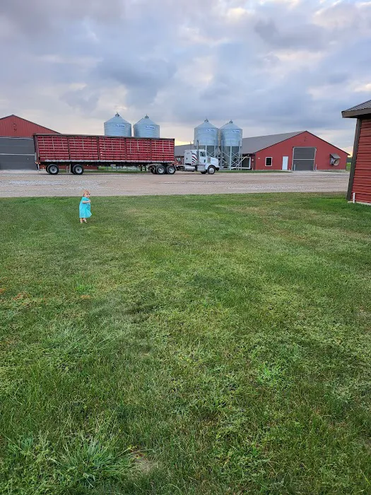 No Limit Roofing Picture 4