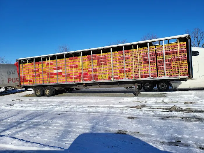 No Limit Roofing Picture 3