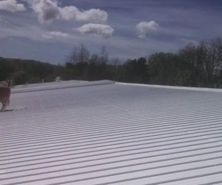 New York Central Spray Coat LLC