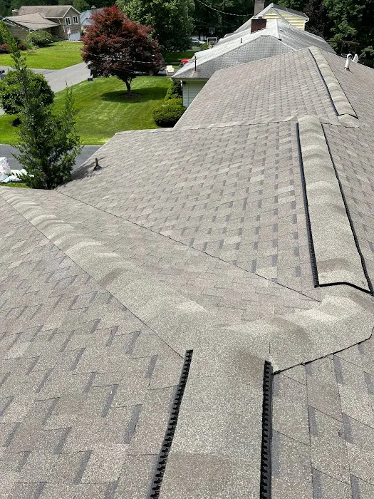 Platinum Roofing and Construction Picture 5