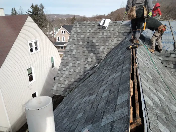 Platinum Roofing and Construction Picture 6