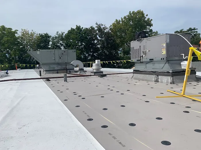 Vanguard Roofing Picture 4