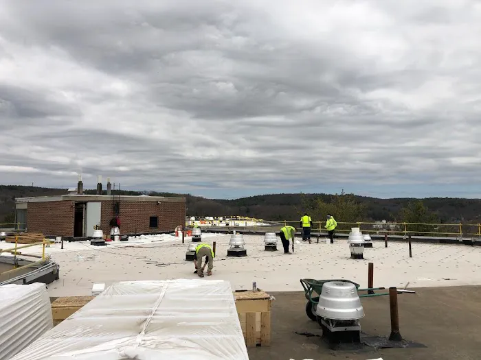 Vanguard Roofing Picture 9