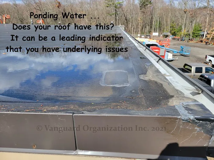 Vanguard Roofing Picture 10