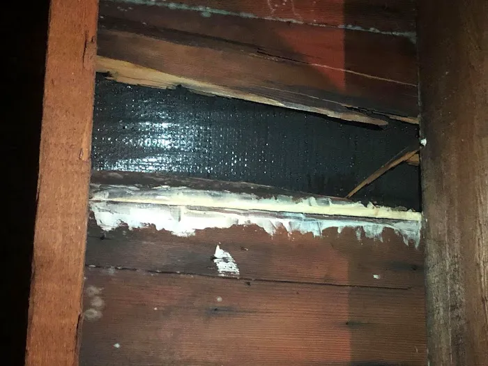 Shear Contractors and Son, LLC Picture 1