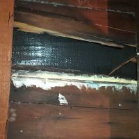 Shear Contractors and Son, LLC ico