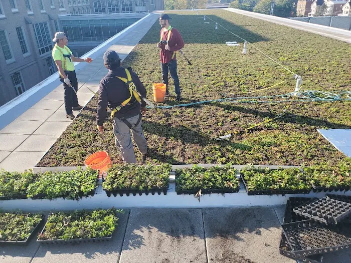 Silktown Roofing, Inc. Picture 6