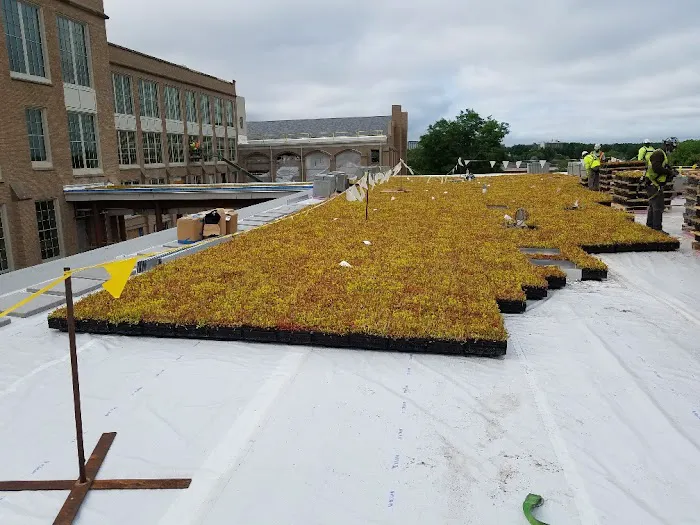 Silktown Roofing, Inc. Picture 7