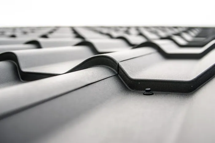 Modern Metal Roofing Picture 3