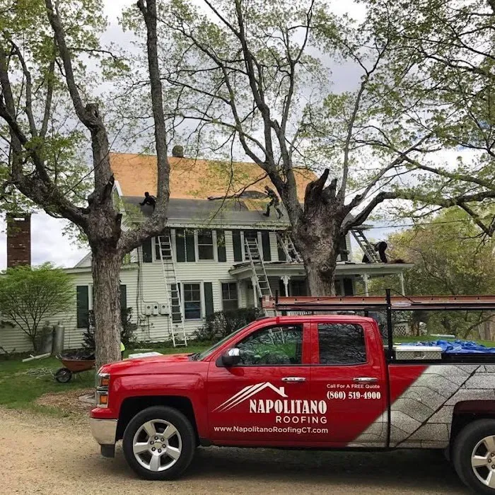 Napolitano Roofing Picture 7