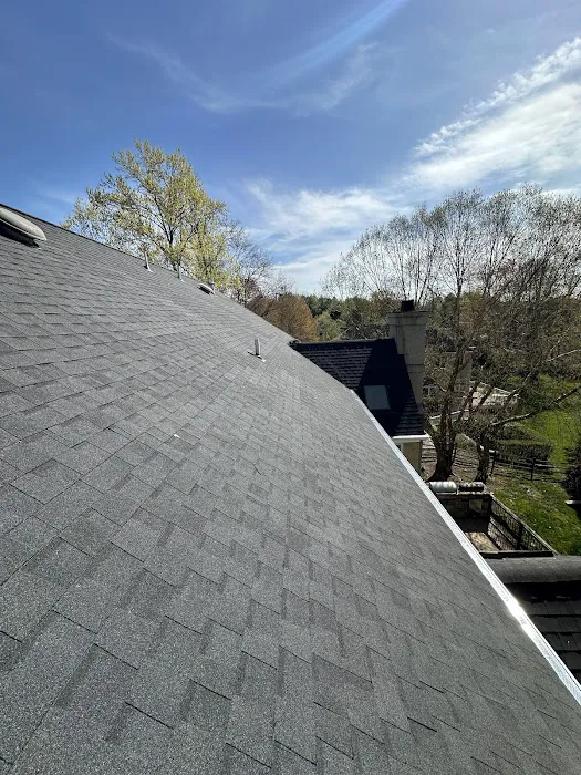 Manny Roofing Contractor Inc Picture 5
