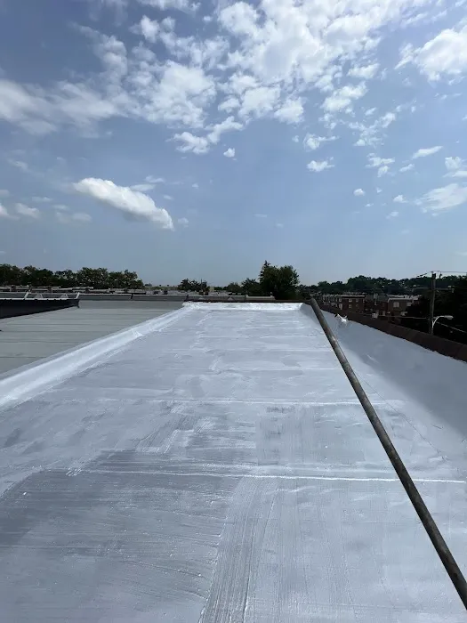 Trama Roofing Picture 9