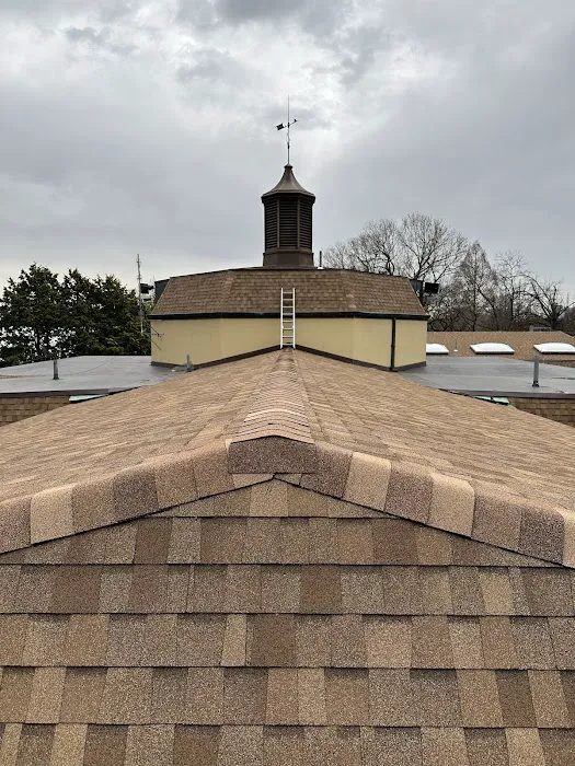 Trama Roofing Picture 8