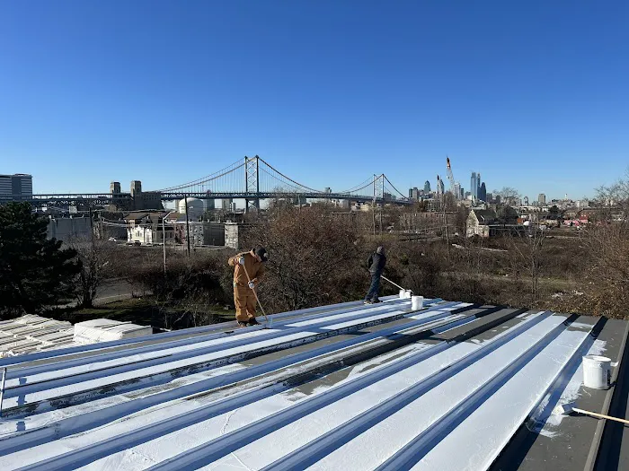 Trama Roofing Picture 7