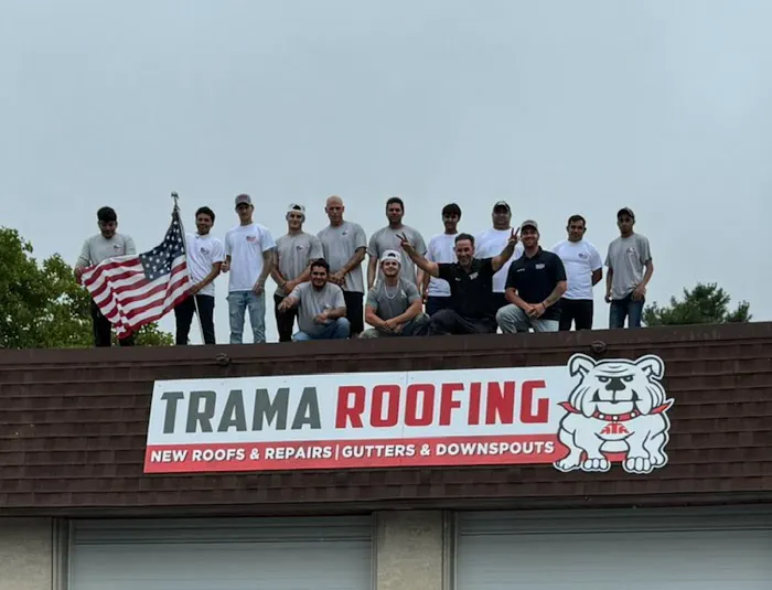 Trama Roofing Picture 4