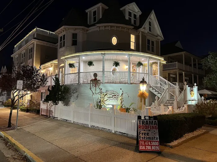 Trama Roofing Picture 2