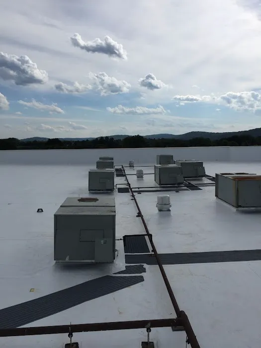 DDP Roofing Services, Inc. Picture 1