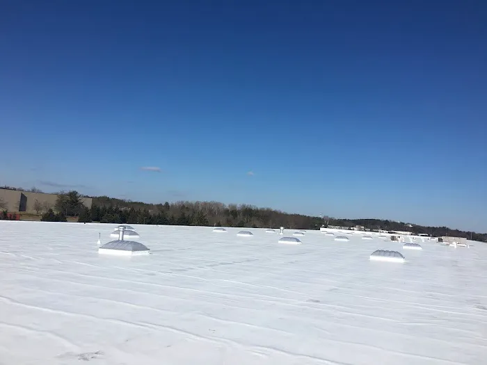 DDP Roofing Services, Inc. Picture 6