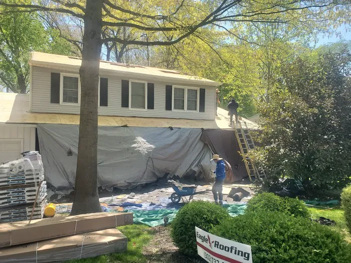 Eagle Roofing Picture 5
