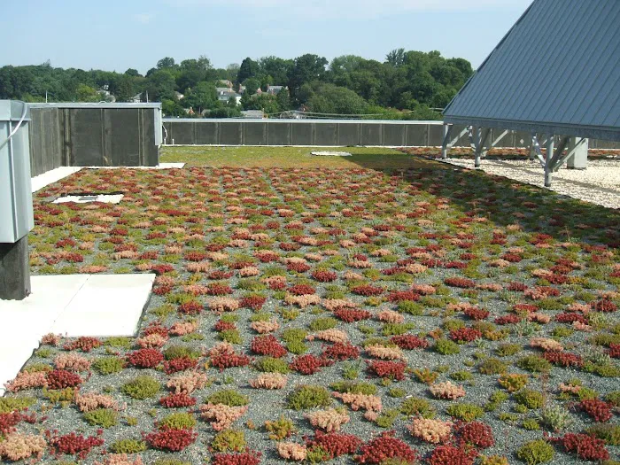 GSM Roofing Picture 3