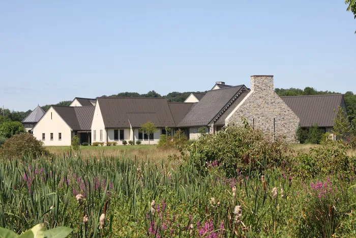 GSM Roofing Picture 4